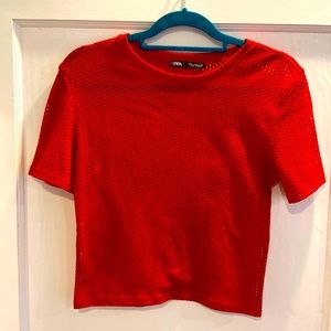 Medium red mesh/net Zara crop top
